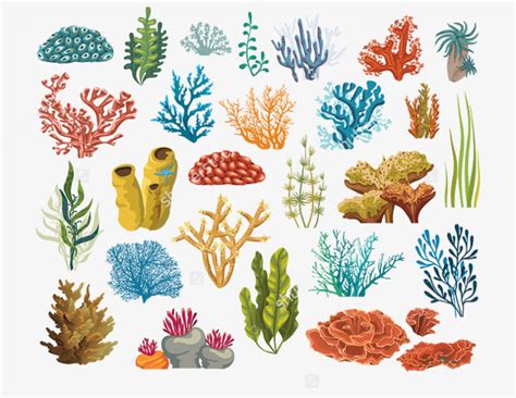 Coloridos Corales Y Algas, Plantas Marinas, Algas Marinas ...