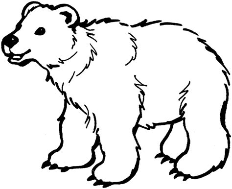 Coloring page: polar bear | Free printable downloads from ...