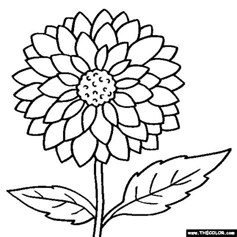 coloring pages | Flower Coloring Pages | Color Flowers ...