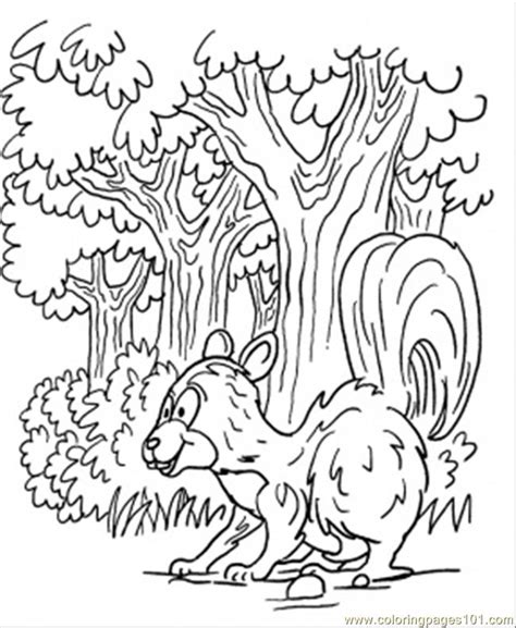 Coloring Pages Skunk In Forest Coloring Page  Natural ...