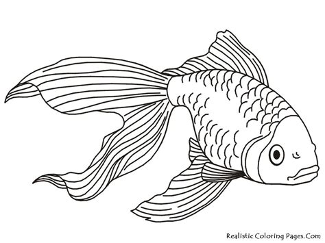 Coloring pages tropical fish   Coloring Pages & Pictures ...