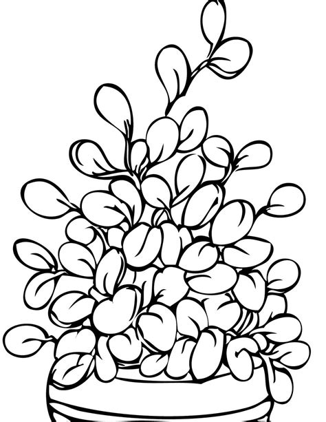Colorir e Pintar: Lindos desenhos de plantas arvores e flores
