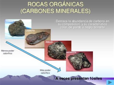 Combustibles Fósiles   Características, origen ...