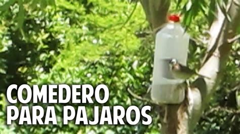 Comedero para aves silvestres en 2 minutos   recontra ...