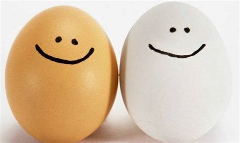Comer huevos todos los días es bueno para la salud | El ...