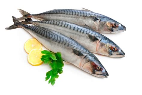Comer pescados azules ayuda a eliminar la grasa corporal ...