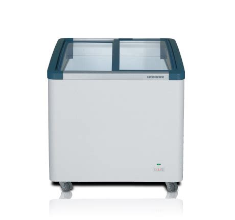 Commercial Freezer EFI 2053 | Dellfrio