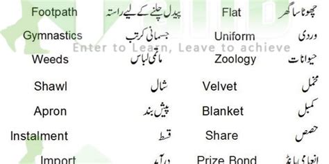 Common English Words Used In Daily Life With Urdu Meaning