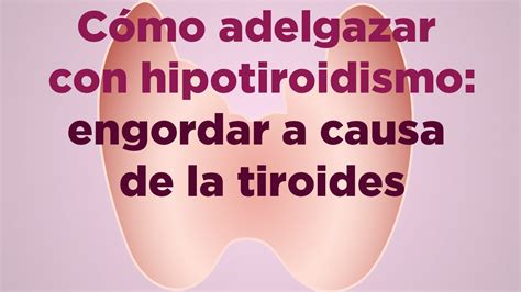 Cómo adelgazar con hipotiroidismo: engordar a causa de la ...