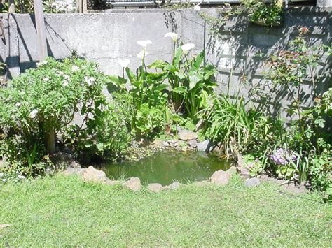 Cómo armar un estanque en el jardín una misma Diseño ...