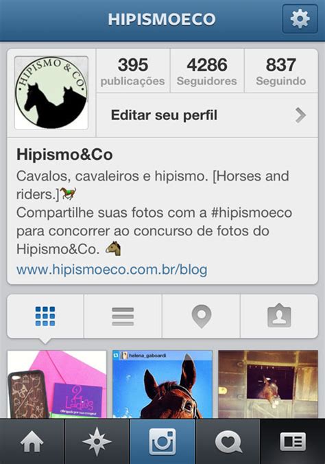 Como conseguir seguidores hípicos no Instagram – Hipismo&Co