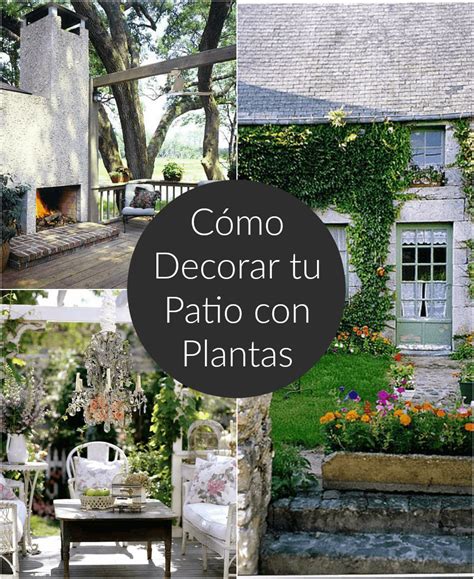 Cómo decorar el patio o la terraza con plantas