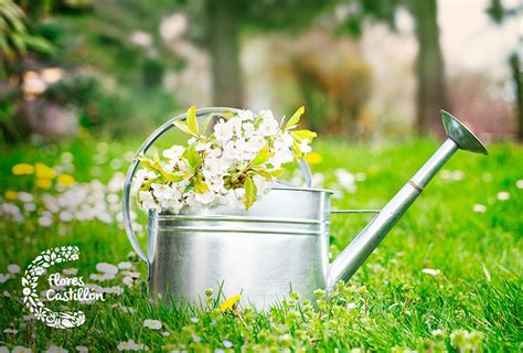 ¿Cómo decorar jardines pequeños? | Flores Castillón