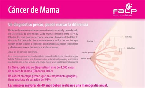 Cómo detectar el cáncer de mama y sus factores de riesgo ...