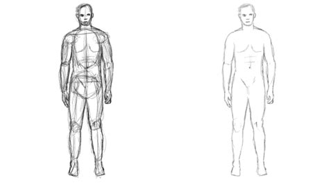 Cómo Dibujar el cuerpo humano sin un modelo   Mospcorp