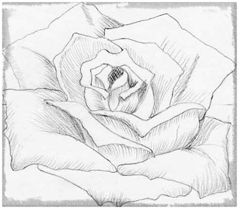 Como Dibujar Flores A Lapiz para Regalar | Dibujos de Amor ...