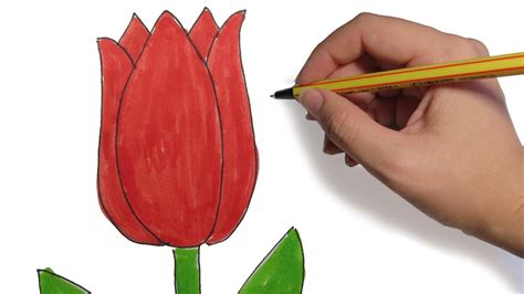 COMO DIBUJAR FLORES: Tulipan facil paso a paso   YouTube