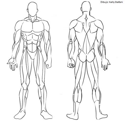 ¿Cómo dibujar los músculos?  Manga  | IlustraIdeas