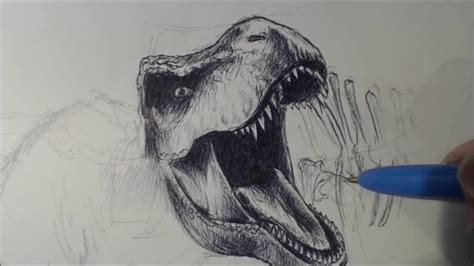 como dibujar t rex   YouTube