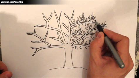 Como dibujar un arbol   YouTube