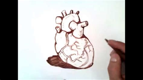 como dibujar un corazon de verdad paso a paso | como ...