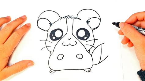 Como dibujar un Hamster Kawaii paso a paso
