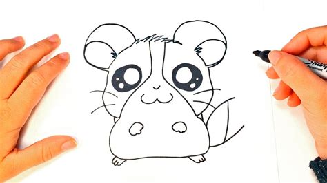 Como dibujar un Hamster Kawaii paso a paso   YouTube