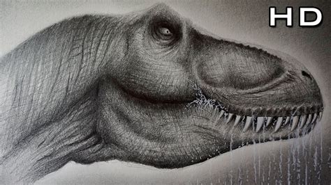 Cómo Dibujar un Tiranosaurio Rex Realista Paso a Paso ...
