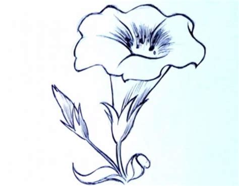 Cómo dibujar una flor de forma fácil   unComo