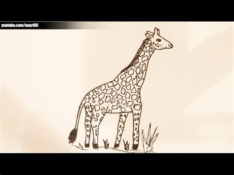 Como dibujar una jirafa   YouTube