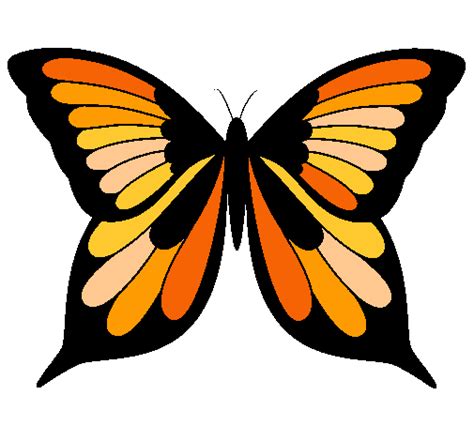 Como dibujar una mariposa monarca   Imagui
