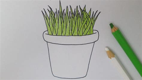 Cómo dibujar una planta en maceta   YouTube