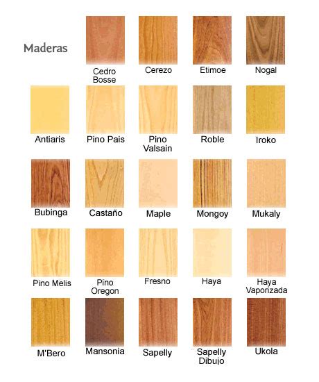 Cómo diferenciar los diferentes tipos de maderas ...
