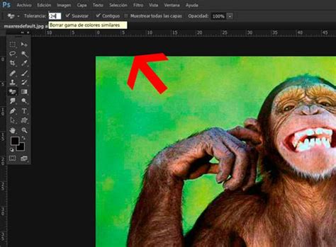 Como eliminar el fondo de una imagen con Photoshop