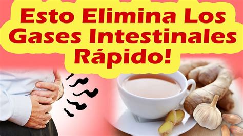 COMO ELIMINAR LOS GASES INTESTINALES RÁPIDAMENTE Remedios ...