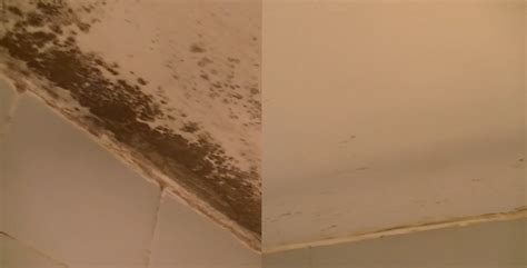 Cómo eliminar manchas de humedad en techos o paredes ...