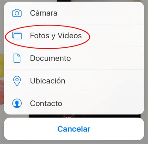 Cómo enviar GIFS en WhatsApp: cuatro trucos para iPhone