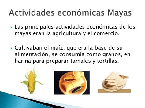 Cómo era la sociedad y la economía maya