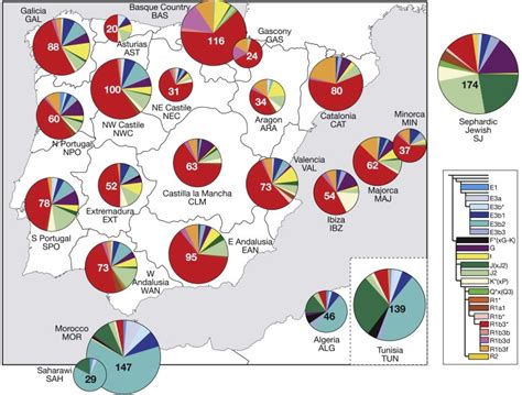 ¿Cómo es el mapa genético de España y de Europa?