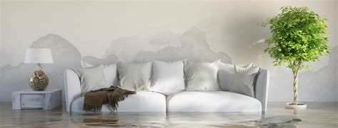 Cómo evitar la humedad en casa | Interiores & Estilo