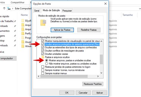 Como exibir arquivos ocultos no Windows 10 | Skybott Tech