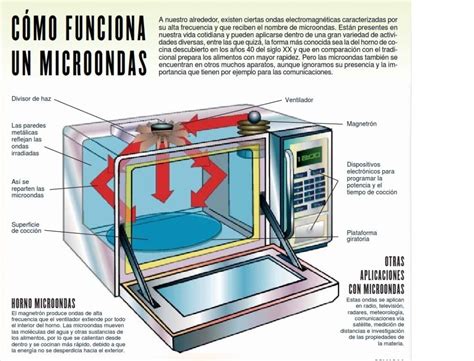 ¿Cómo funciona el microondas?