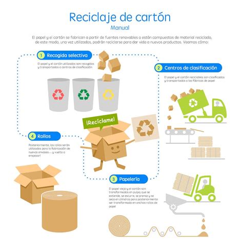 Cómo funciona el reciclaje de cartón  con infografía