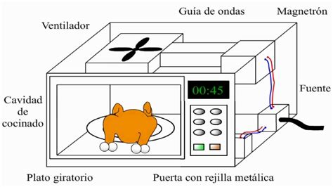 ¿Cómo funciona un horno de microondas? / microwave   YouTube