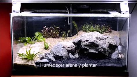 Cómo hacer acuario plantado | paso a paso [HD]   YouTube