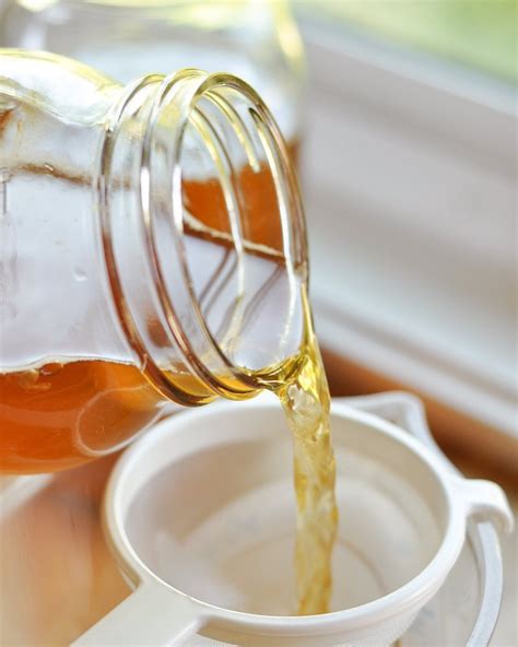 Cómo hacer té de kombucha en casa | Mundo Bacteriano