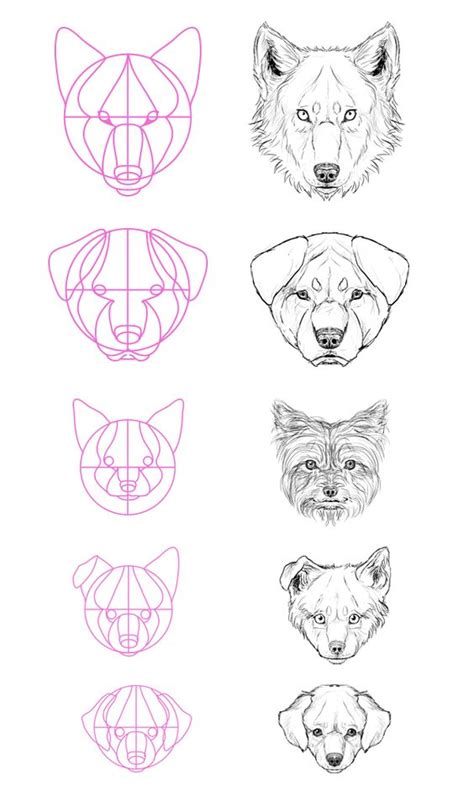 Como Hacer un Boceto: Animales: Caras, Oreja y Ojos de Perro