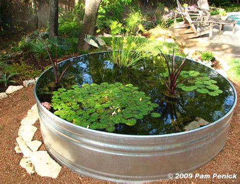 Cómo hacer un estanque acuático con plantas y peces ...