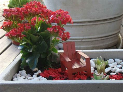 Cómo hacer un jardín en miniatura paso a paso | Plantas