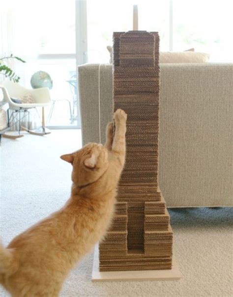 ¿Cómo hacer un rascador para gatos con cartón?